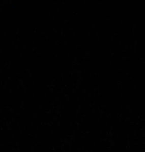 Meet your Posher, Lor